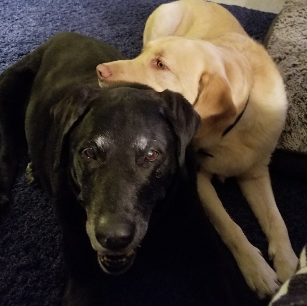 Meet your Posher, Rick